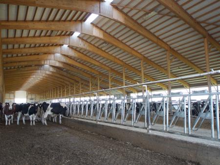 Burfeind Dairy - Lodermeier's 